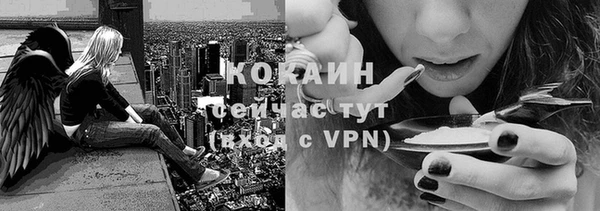 ГАЛЛЮЦИНОГЕННЫЕ ГРИБЫ Алзамай