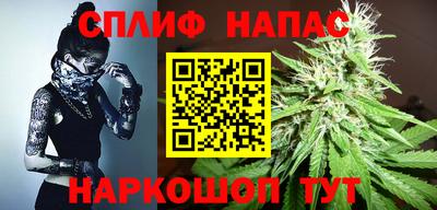 шишки Краснознаменск