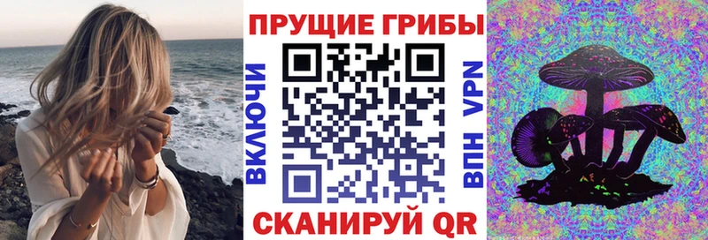 Псилоцибиновые грибы прущие грибы  Куйбышев 