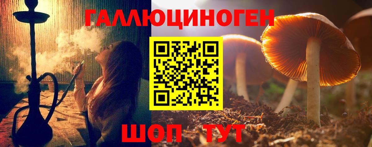 Псилоцибиновые грибы Psilocybe Куйбышев